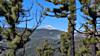 Pico del Teide